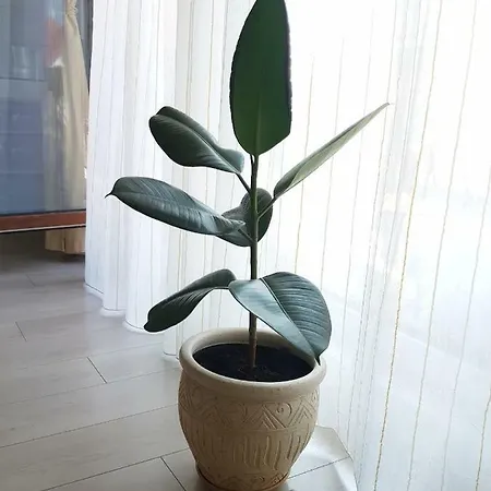 Lejlighed Apartamentai 